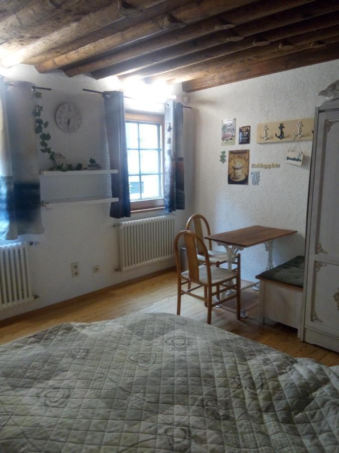 See- Und Altstadthaeusle - Alles Direkt Vor Der Haustuer - Bodenseeufer Natur Altstadt Bahnhof Bora-Sauna - Klein Und Super Zentral Zum See Oepnv Stadt Natur Etc - Appartement Historica Radolfzell am Bodensee Luaran gambar
