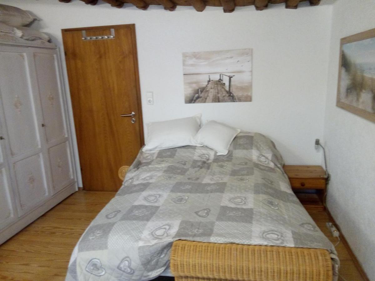 See- Und Altstadthaeusle - Alles Direkt Vor Der Haustuer - Bodenseeufer Natur Altstadt Bahnhof Bora-Sauna - Klein Und Super Zentral Zum See Oepnv Stadt Natur Etc - Appartement Historica Radolfzell am Bodensee Luaran gambar